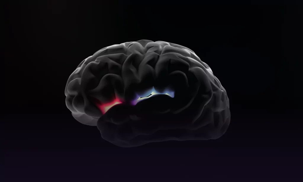 Gestão de Tráfego Digital Cérebro Grande